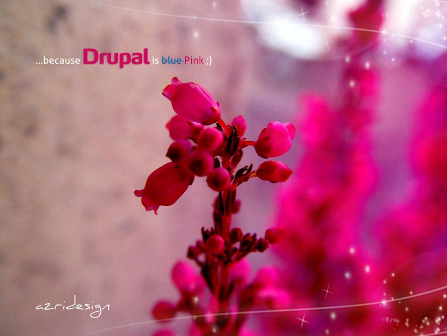 Top Most Beautiful Drupal based Websites of 2012